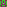 Identicon for a9424a674ca56811c5e062158c6481b143c82ee8033d79b9c92af637457f12fc