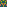 Identicon for ed1e829cece1af94a9137ea72baec62d4336ff76ee6b271dc1199f5a5c486355